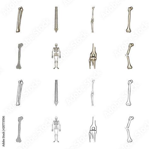 Isolated object of medicine and clinic icon. Set of medicine and medical vector icon for stock.