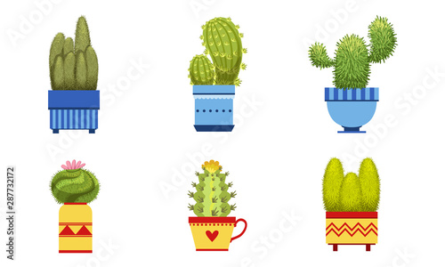 Cactus Plants in Flower Pots Set, Potted Cactuses and Succulents Houseplants Vector Illustration