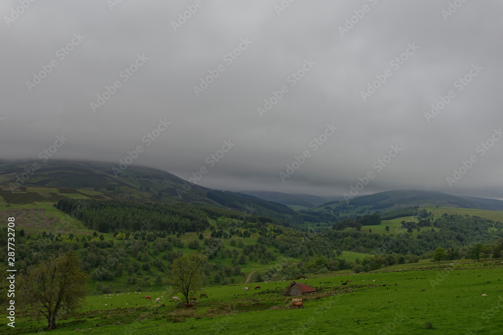 Looking down Glen Prosen Valley, high up in the Angus Glens of Scotland on a wet moody and atmospheric Morning. Glen Prosen, Angus, Scotland Looking down Glen Prosen Valley, high up in the Angus Glens of Scotland on a wet moody and atmospheric Morning. Glen Prosen, Angus, Scotland