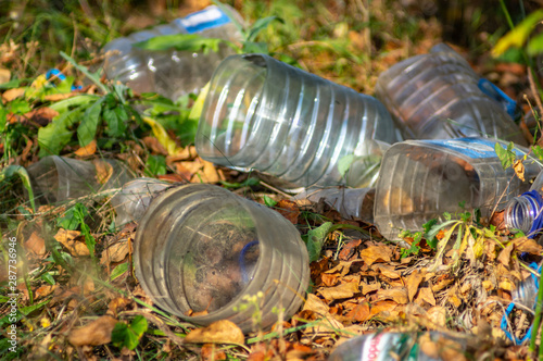 Discarded plastic bottles among fallen leaves
