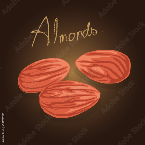 illustration of almonds in the dark background