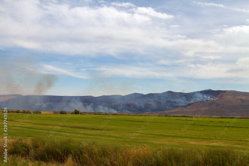 Wildfire in the field Wildfire in the field