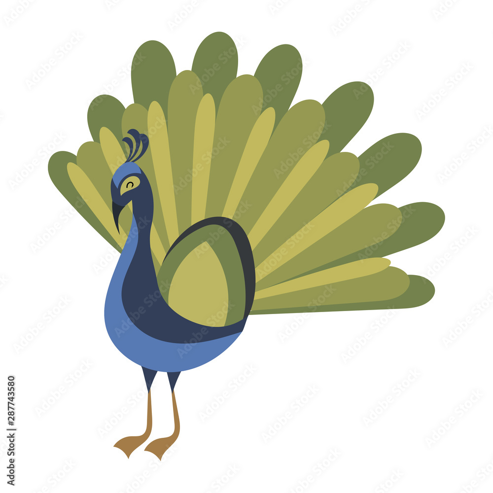 Cartoon peacock. Vector illustration of a cute peacock. Drawing birds for  children. Zoo for kids. Stock Vector | Adobe Stock