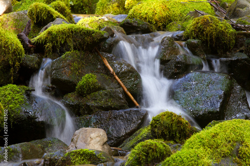 Fototapeta Naklejka Na Ścianę i Meble -  Mountain valley with moss and water