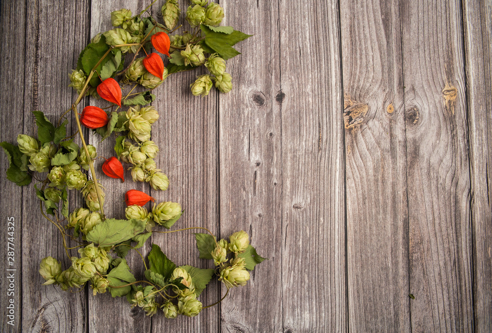 Autumn composition. Stems and cones of hops, orange lanterns of physalis on a wooden background. Autumn composition. Stems and cones of hops, orange lanterns of physalis on a wooden background.