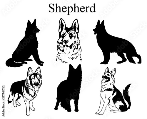 Shepherd set. Collection of pedigree dogs. Black and white illustration of a shepherd dog. Vector drawing of a pet. Tattoo.