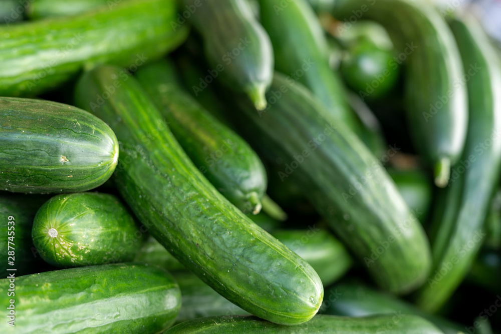 Wochenmarkt mit frischen Gurken Wochenmarkt mit frischen Gurken