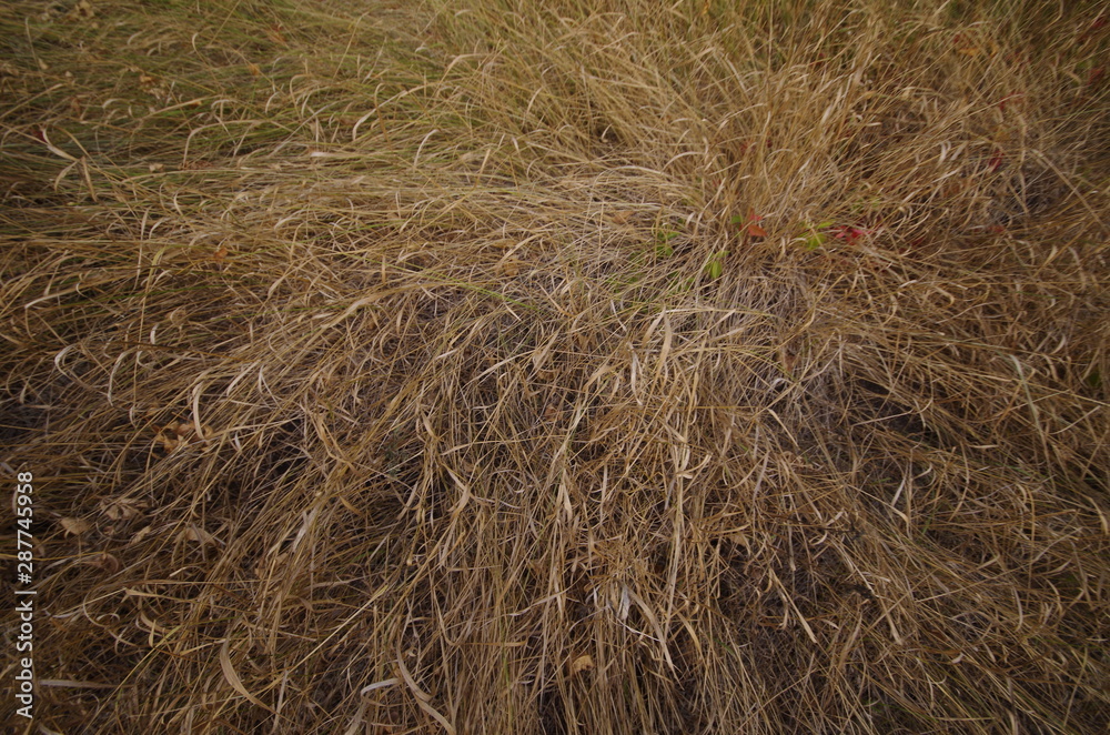 Naklejka premium hay bale of straw in a field