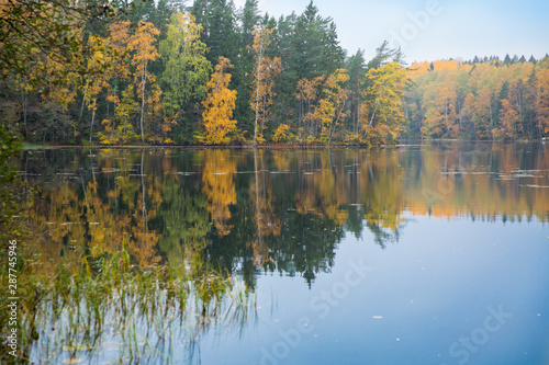 Serene Scandinavian autumn landscape of Southern Finland, Espoo. Colorful forest reflecting in calm lake water. Fallen leaves on water surface. 