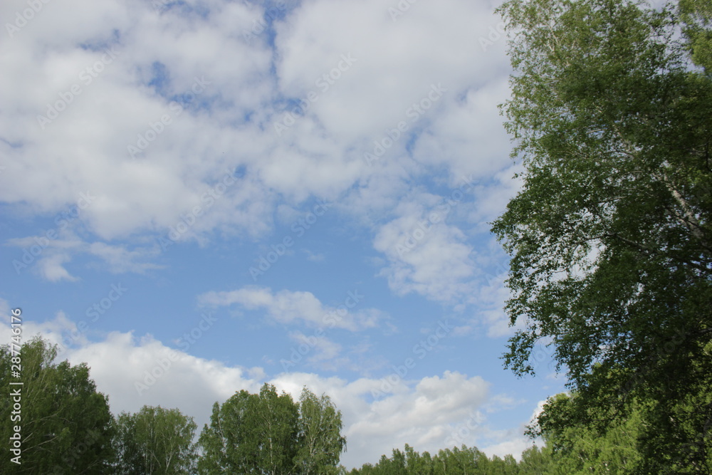 Obraz premium Nature