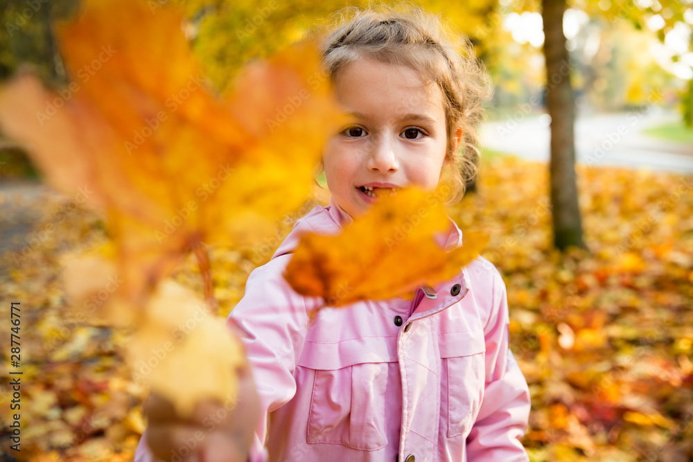 Cute little girl with missing teeth playing with yellow fallen leaves in autumn forest. Showing leaf to the camera. Happy child laughing and smiling. Sunny autumn forest, sun beam. Cute little girl with missing teeth playing with yellow fallen leaves in autumn forest. Showing leaf to the camera. Happy child laughing and smiling. Sunny autumn forest, sun beam.