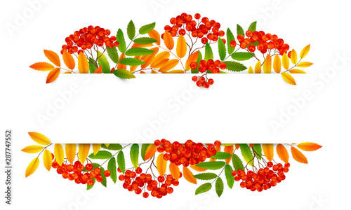 White paper horizontal banner with red rowan berries in green and orange autumn leaves frame, vector realistic illustration