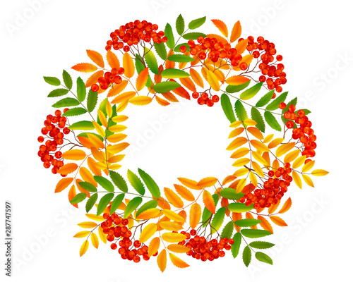 Red rowan berries in green and orange fall leaves, vector seasonal backdrop for greeting cards and sale banners