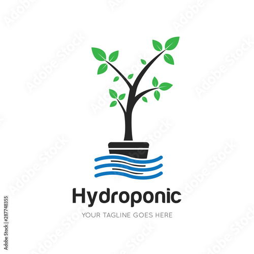 hydroponic logo and icon vector illustration design template photo