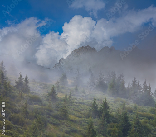 green mountain valley with pine trees in a dense mist and cumulus clouds