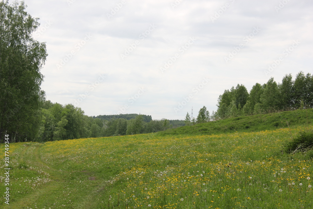 Obraz premium Nature