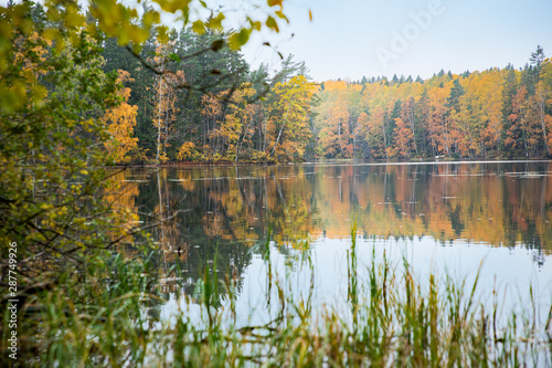 Serene Scandinavian autumn landscape of Southern Finland, Espoo. Colorful forest reflecting in calm lake water. Fallen leaves on water surface. 