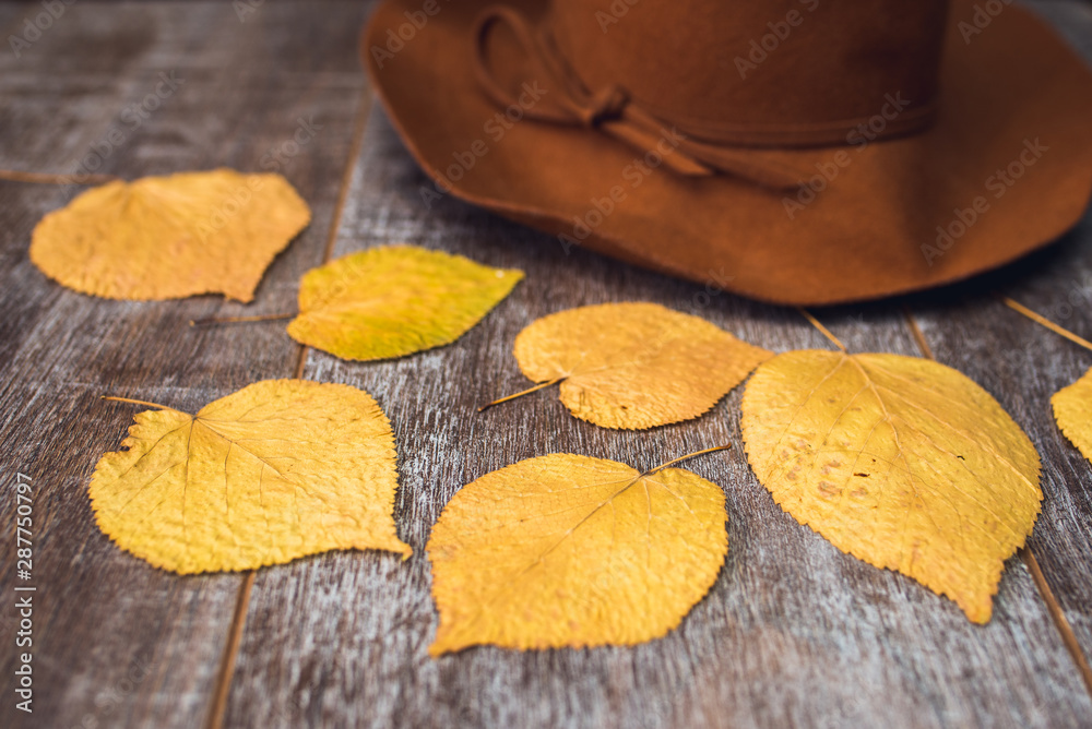 autumn leaves on wooden table