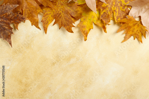 Autumnal composition with dry yellow and grey maple leafs on grunged concrete  stone textured table background. October mood concept. Top view  flat lay  copy space  close up.