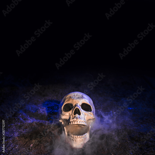 Gloomy skull placed on ground