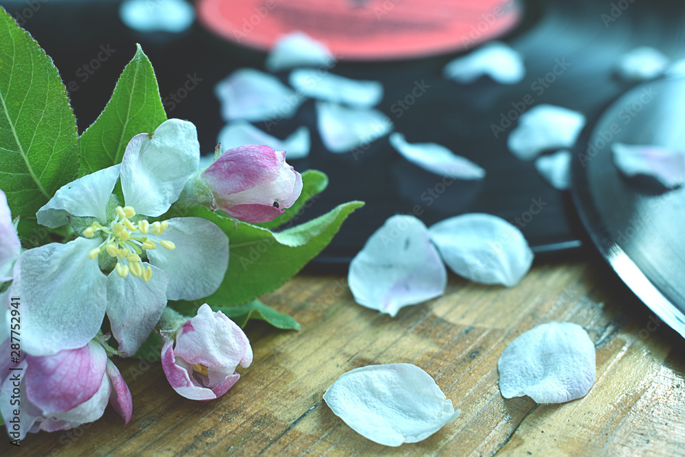 petals and gramophone records on a wooden table petals and gramophone records on a wooden table