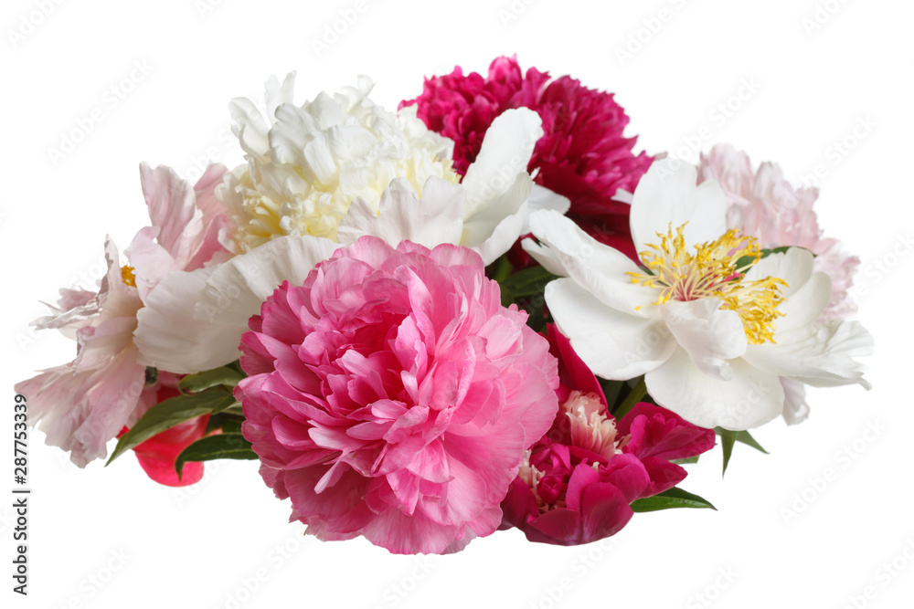 Beautiful bouquet of peonies Isolated on a white background.