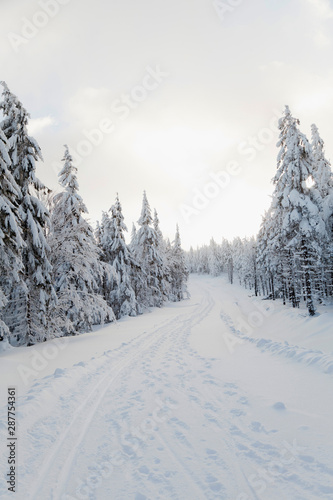 mountain route in winter