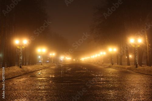 Street at night in winter