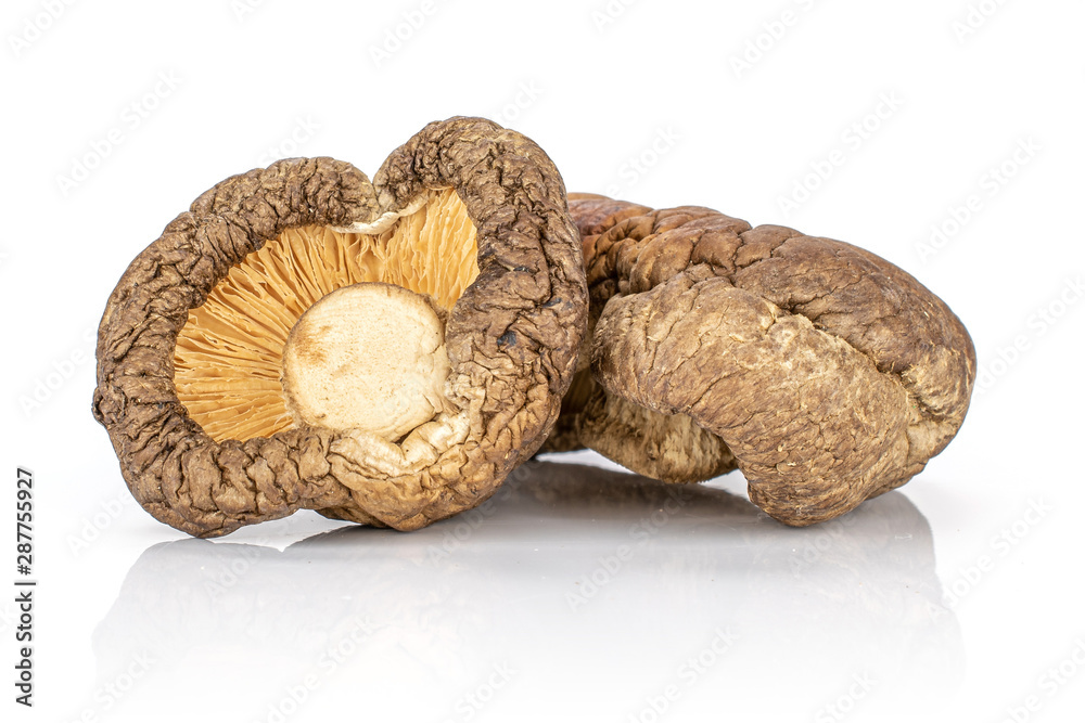 Group of two whole raw dry mushroom shiitake isolated on white background Group of two whole raw dry mushroom shiitake isolated on white background