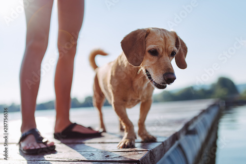 Dog and girl standing on the dock