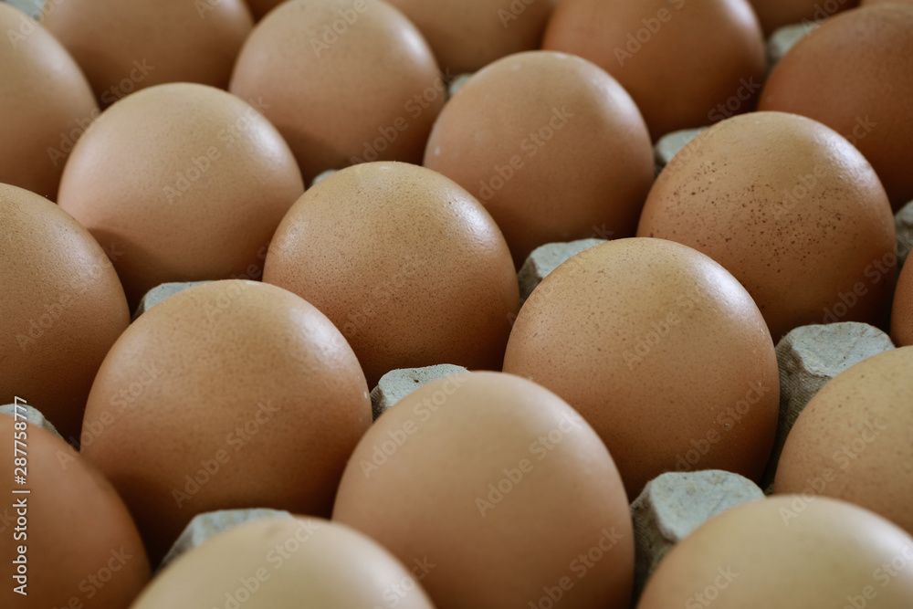 fresh eggs in a paper large tray