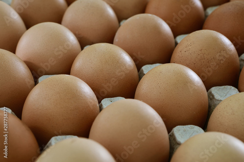 fresh eggs in a paper large tray