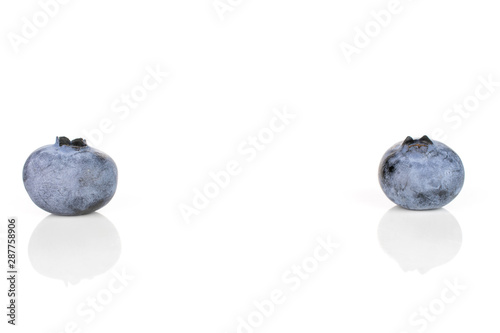 Group of two whole fresh blue bilberry isolated on white background