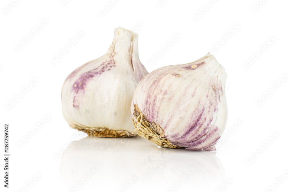 Obraz premium Group of two whole organic white garlic allium sativum isolated on white background