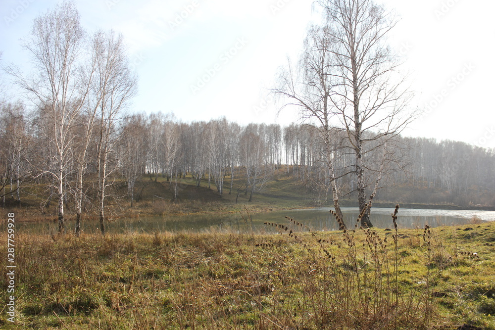 Nature Nature