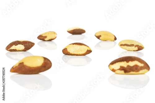 Group of eight whole raw brown brazil nut isolated on white background