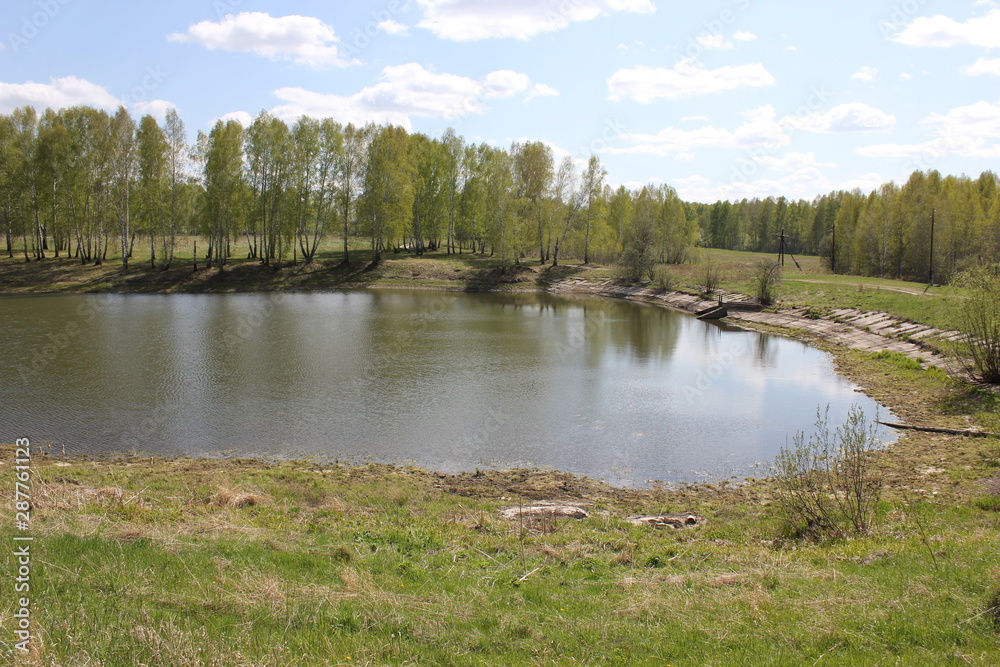 Fototapeta premium River