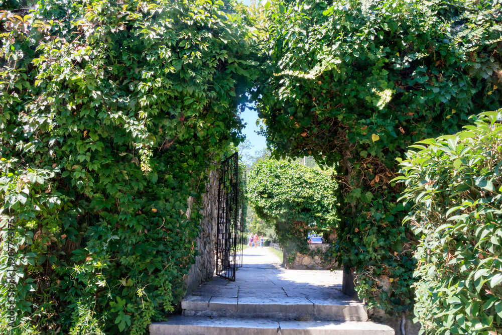 arched fence overgrown with bushes arched fence overgrown with bushes