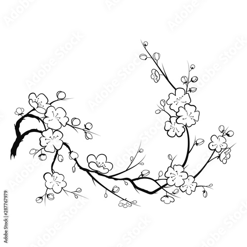 Blooming cherry. Sakura branch with flower buds. Cartoon drawing of a blossoming tree in spring. Logo with Japanese cherry blossoms. Tattoo. Wall art .