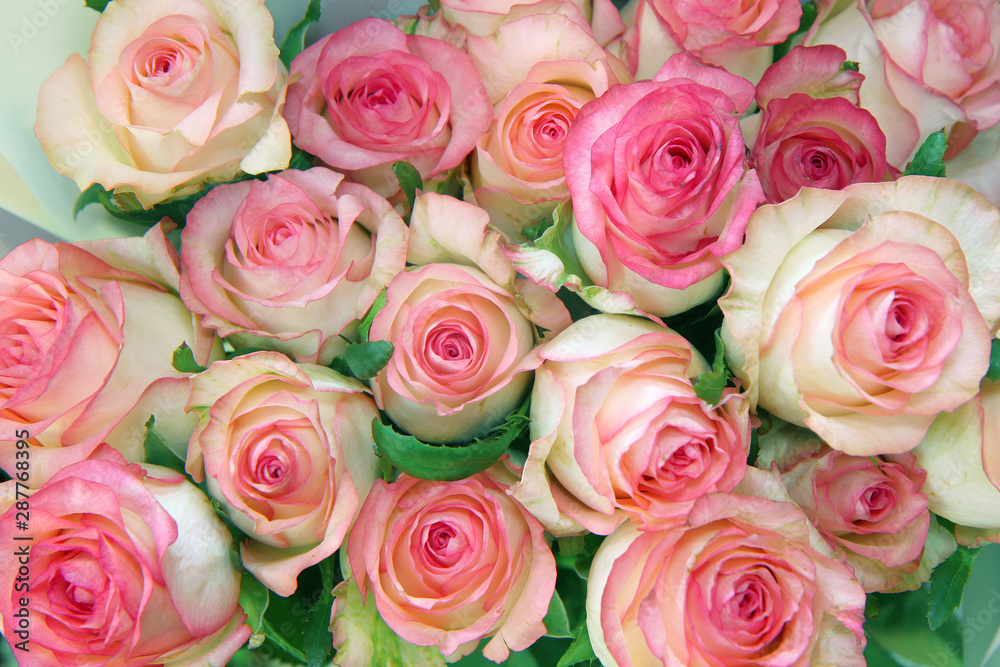 bouquet of roses as background bouquet of roses as background