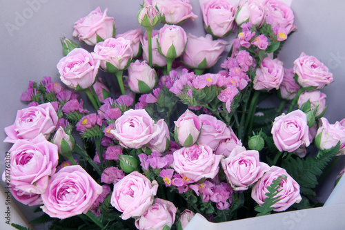 bouquet of pink roses on white background