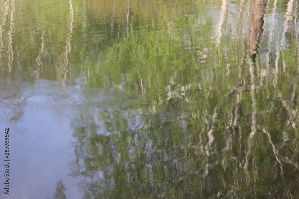 Nature Nature