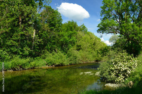 Tableau sur toile au bord de la rivière, au bord de la rivière La Loue, Doubs, France
