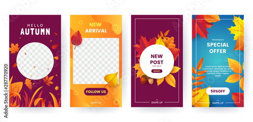 Set of autumn social media stories. Colorful autumn banners with fallen leaves and yellowed foliage. Backgrounds collection. Template for event invitation, product catalog, advertising. Vector eps 10