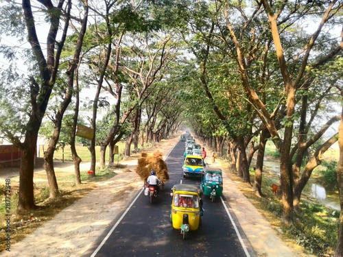 road in the park