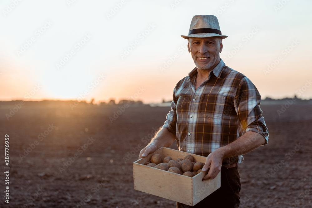 cheerful self-employed farmer holding box with organic potatoes