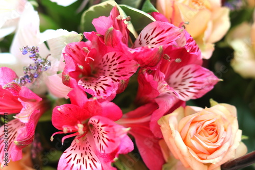 Beautiful bright background of different flowers in bouquet