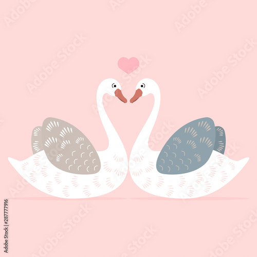 Fototapeta Naklejka Na Ścianę i Meble -  The couple of the beautiful swans is on a pink background.