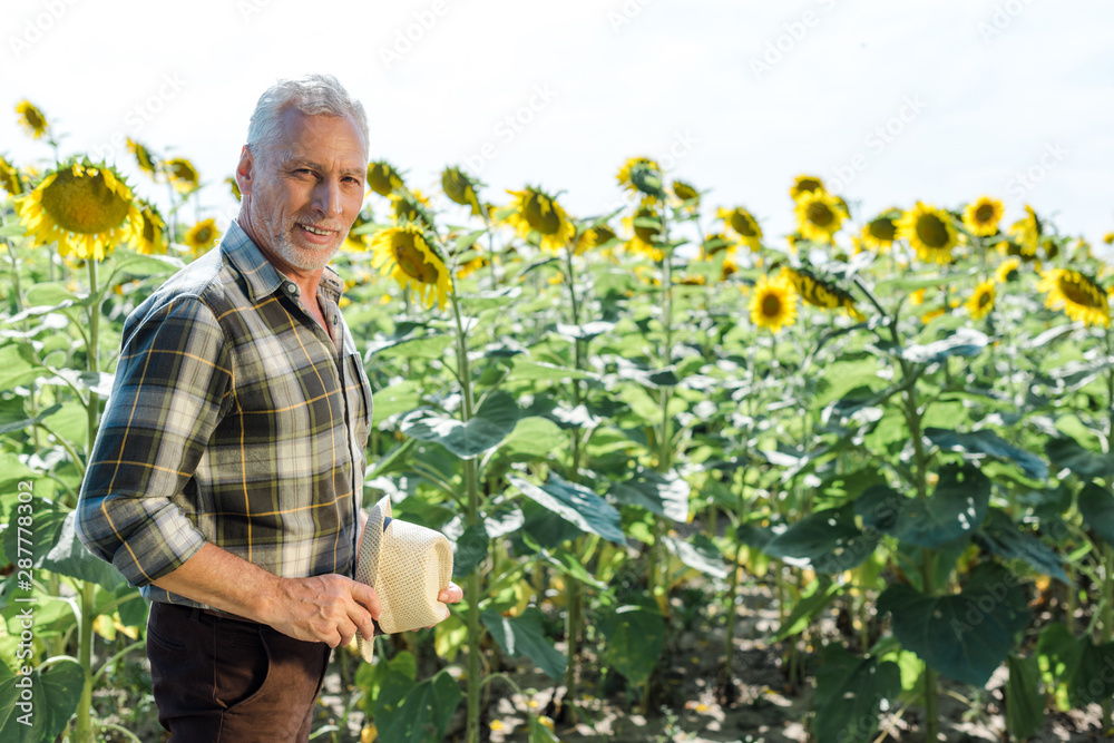 Fototapeta premium cheerful bearded farmer holding straw hat near field with sunflowers
