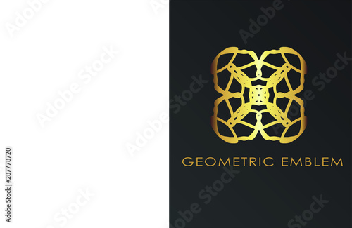 Luxury geometric logo